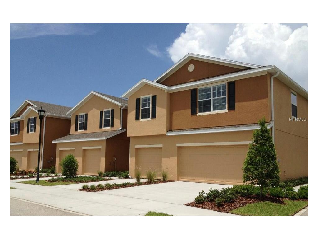 4919 White Sanderling Ct, Riverview, FL 33578 photo 1