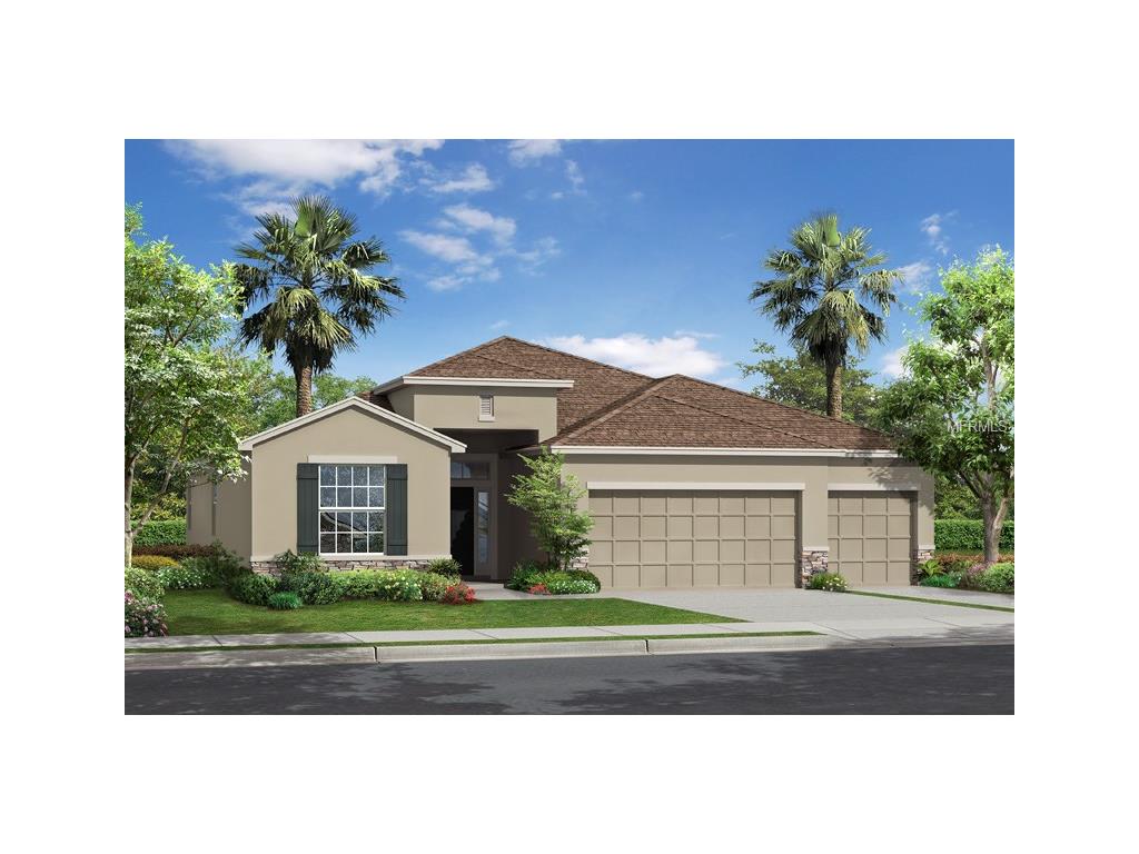 10410 Hampton Meadow Way, Riverview, FL 33578 photo 1