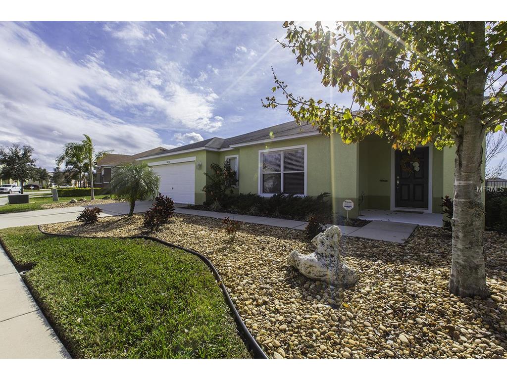 5250 Moon Shell Dr, Apollo Beach, FL 33572 photo 1