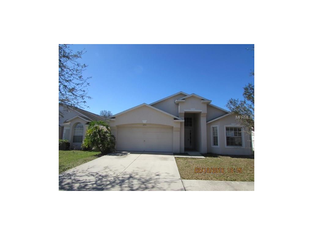 12911 Tribute Dr, Riverview, FL 33578 photo 1