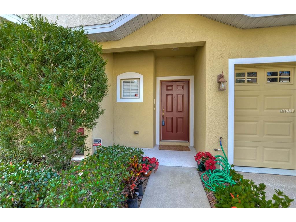 12809 Avelar Manor Pl, Riverview, FL 33578 photo 1