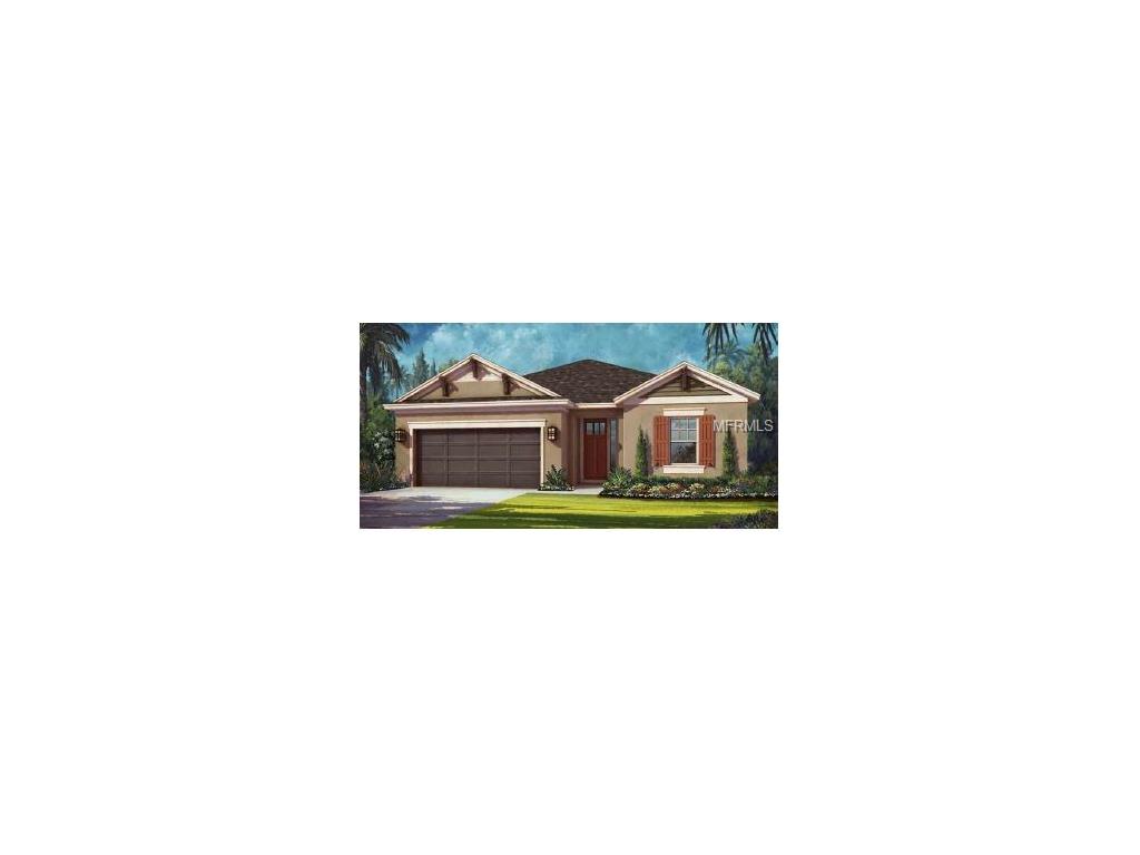 8216 Round Leaf Ln, Riverview, FL 33578 photo 1