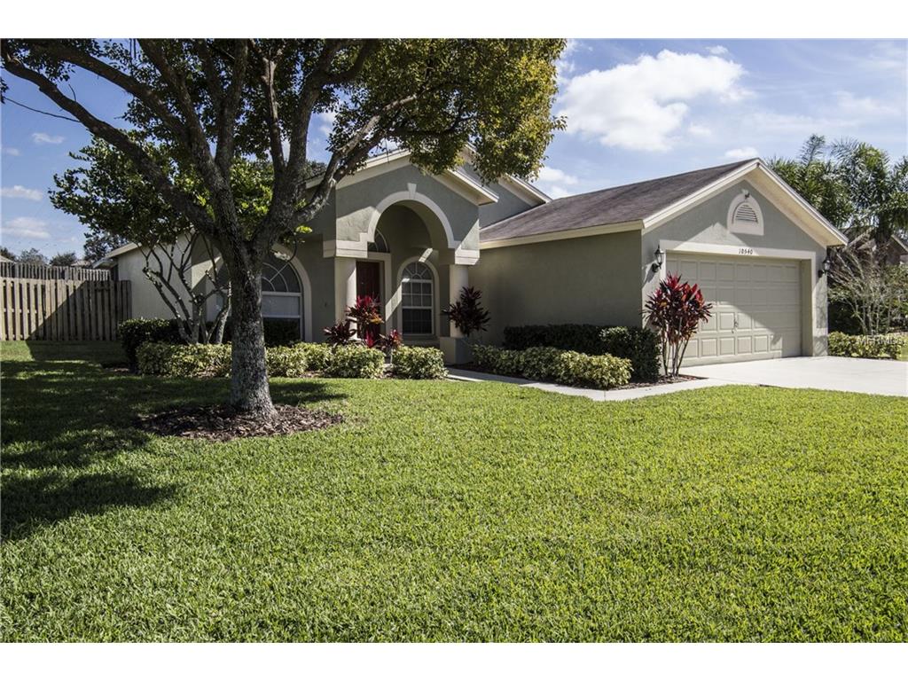 10540 Juliano Dr, Riverview, FL 33569 photo 1