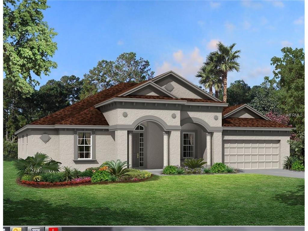 13229 Sunset Shore Cir, Riverview, FL 33579 photo 1