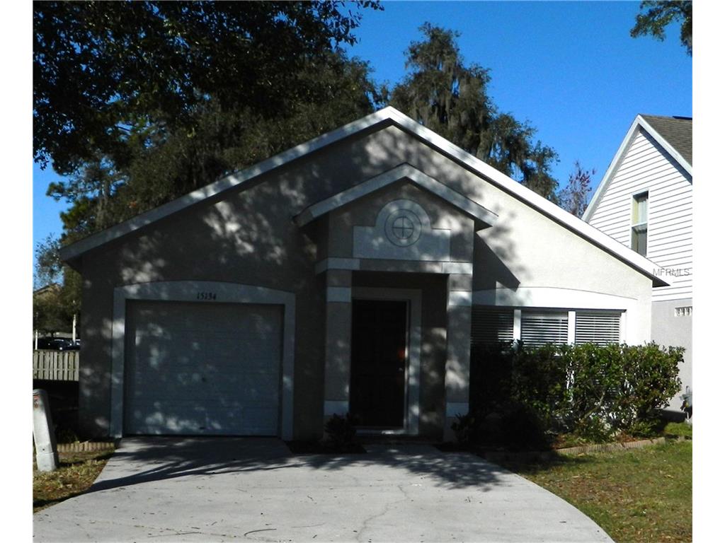 15134 Deer Meadow Dr, Lutz, FL 33559 photo 1