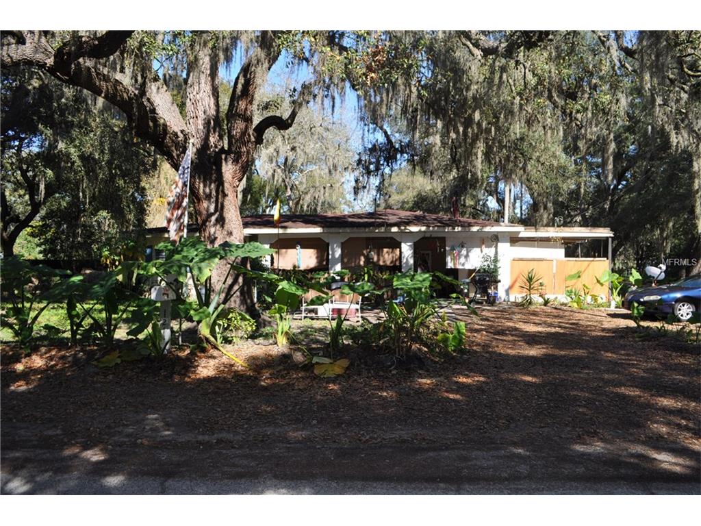 1214 Lakeside Dr, Brandon, FL 33510 photo 1