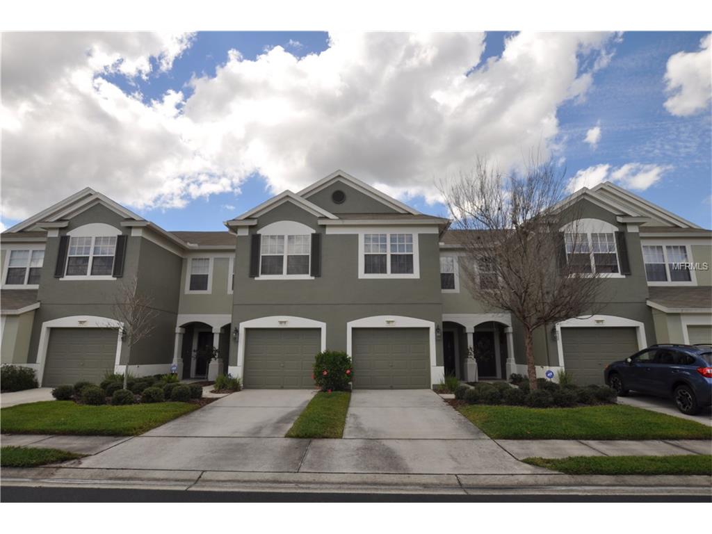 4617 Barnstead Dr, Riverview, FL 33578 photo 1