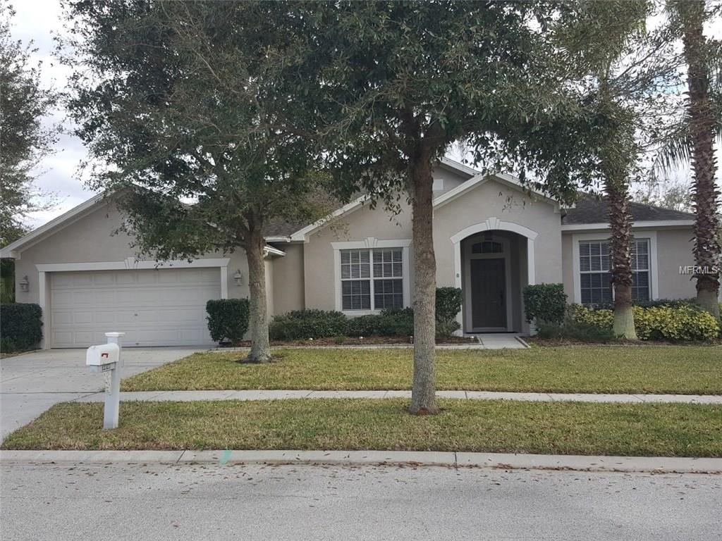 12323 Bramfield Dr, Riverview, FL 33579 photo 1