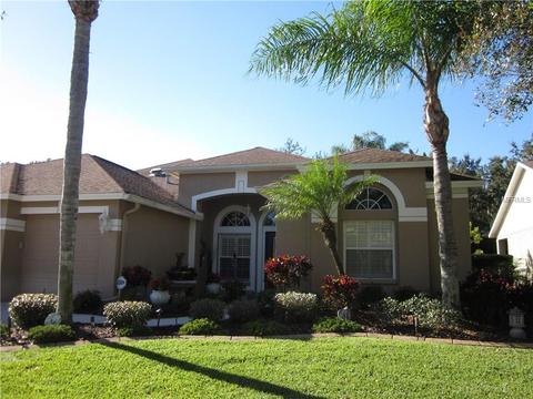 14844 Heronglen Dr, Lithia, FL 33547 photo 1