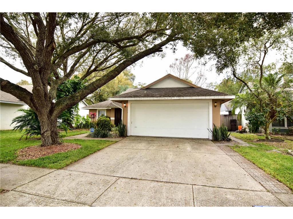 2055 Shadow Pine Dr, Brandon, FL 33511 photo 1