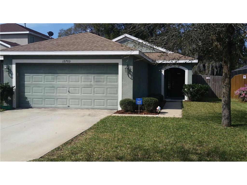 12703 Geneva Glade Dr, Riverview, FL 33578 photo 1