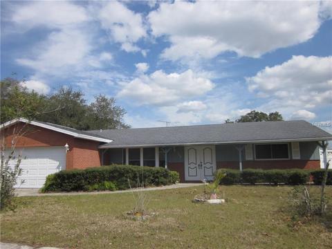 1309 Sunfish Dr, Brandon, FL 33511 photo 1