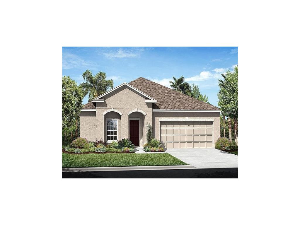 10409 Flagstaff Falls Ave, Riverview, FL 33578 photo 1
