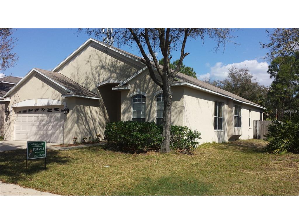 8105 Moccasin Trail Dr, Riverview, FL 33578 photo 1