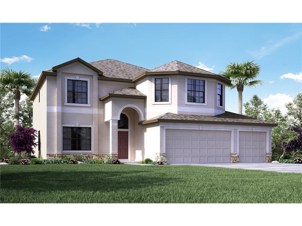 13919 Felix Will Rd, Riverview, FL 33579 photo 1