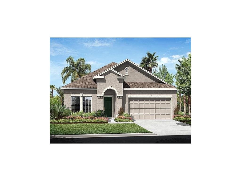 10424 Waterstone Dr, Riverview, FL 33578 photo 1