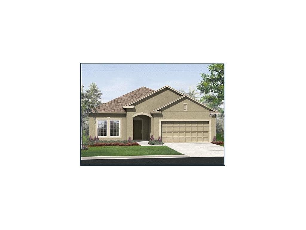 12007 Whistling Wind Dr, Riverview, FL 33569 photo 1