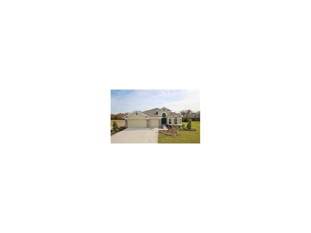 10459 Waterstone Dr, Riverview, FL 33578 photo 1