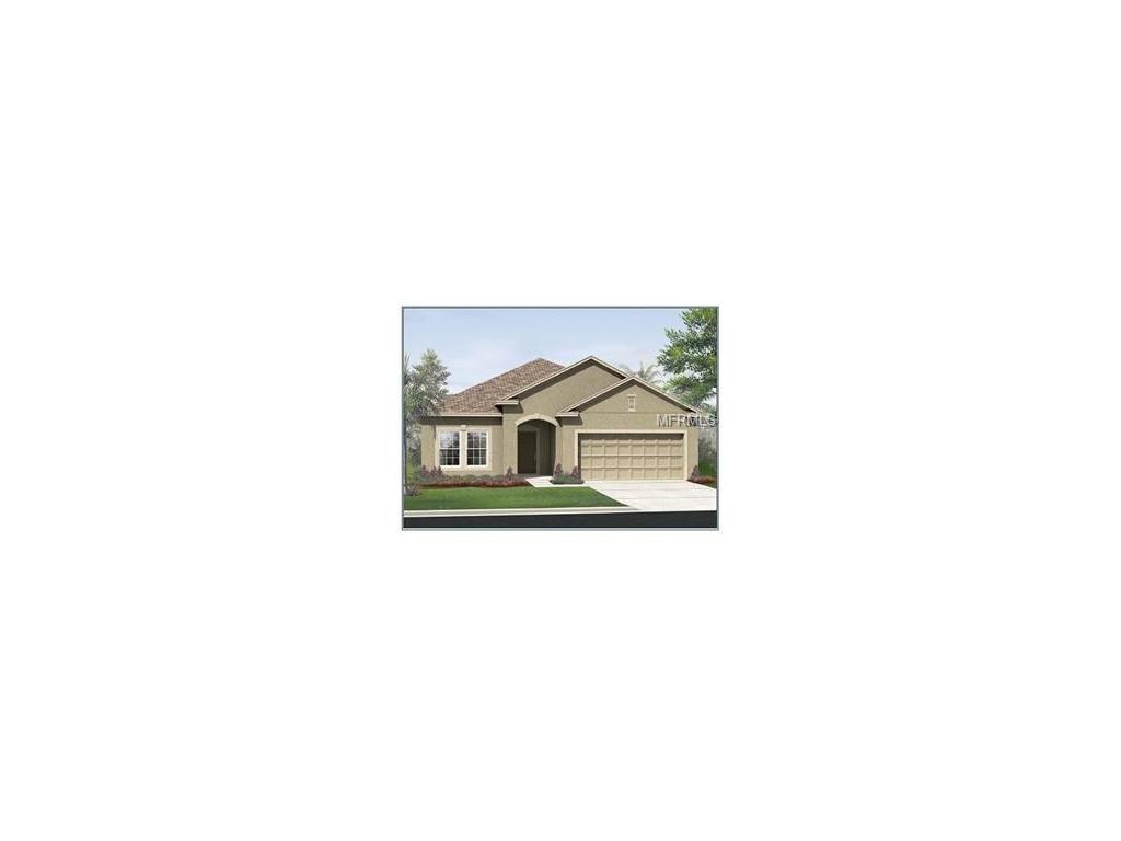 10924 79th St E, Parrish, FL 34219 photo 1