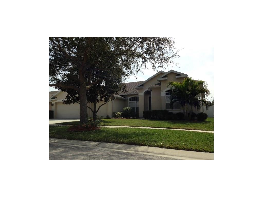 7263 Bucks Ford Dr, Riverview, FL 33578 photo 1