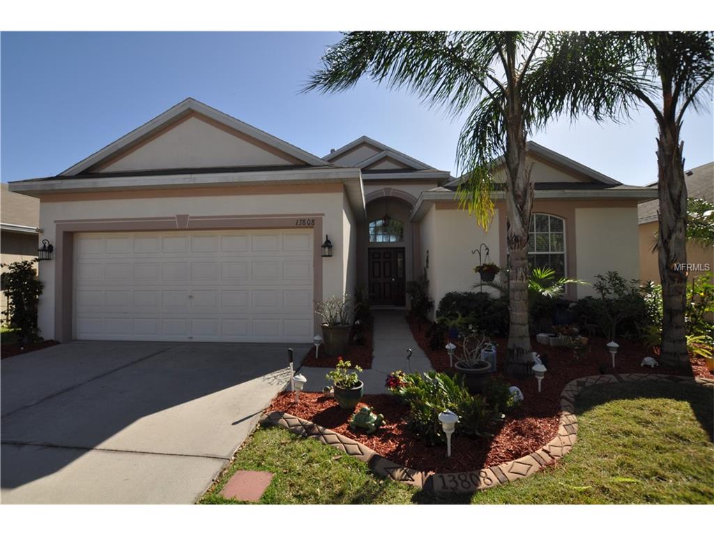 13808 Sigler St, Riverview, FL 33579 photo 1