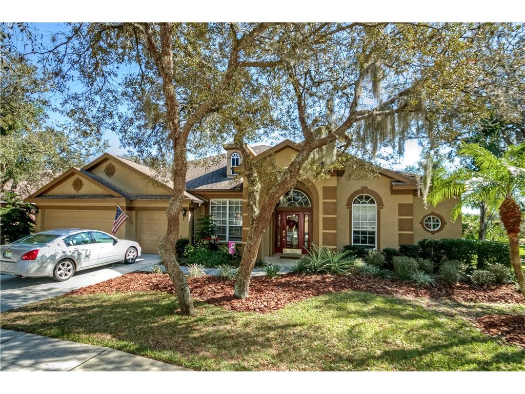 5706 Eaglemount Cir, Lithia, FL 33547 photo 1