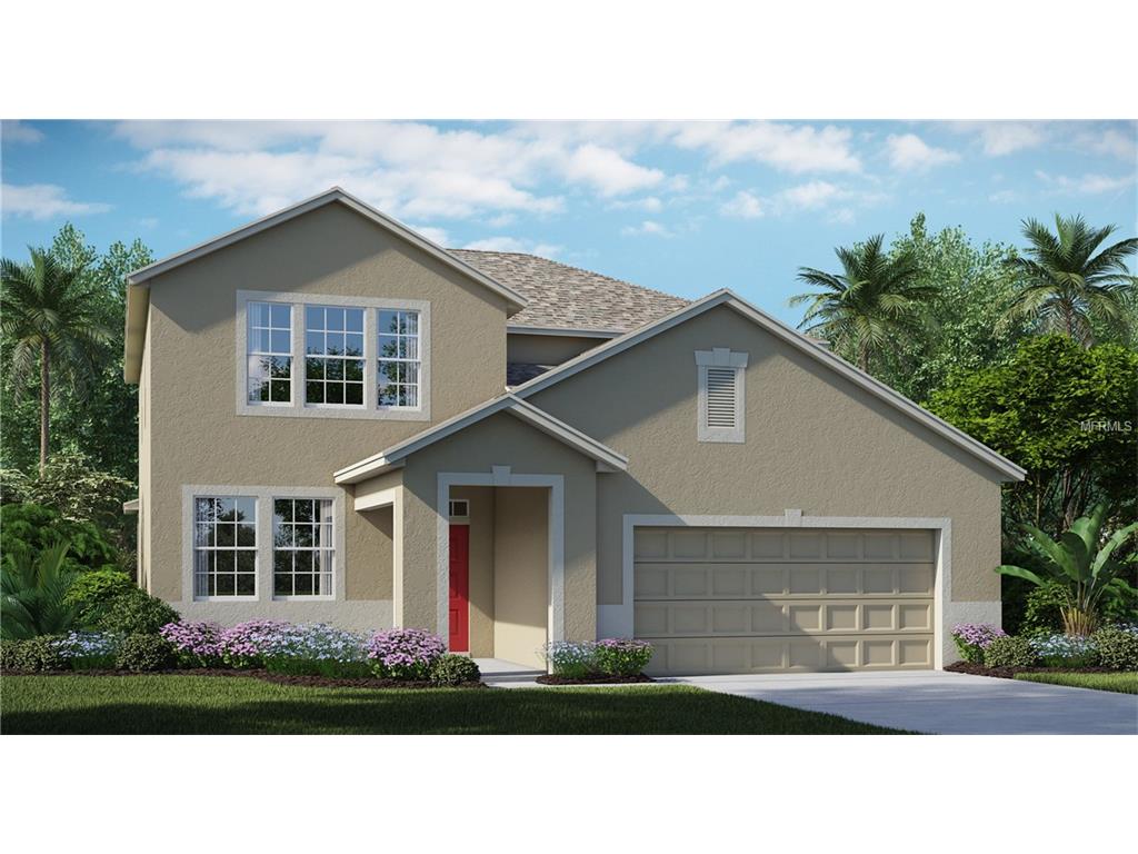 12312 Ballentrae Forest Dr, Riverview, FL 33579 photo 1