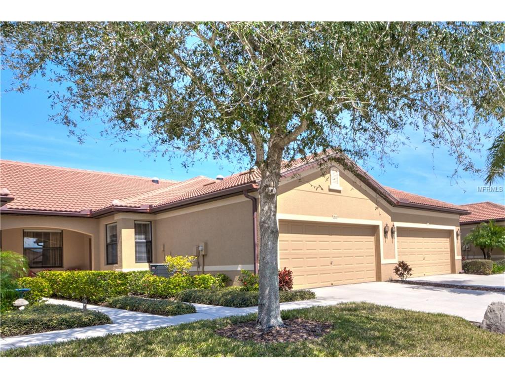 213 Shell Falls Dr, Apollo Beach, FL 33572 photo 1