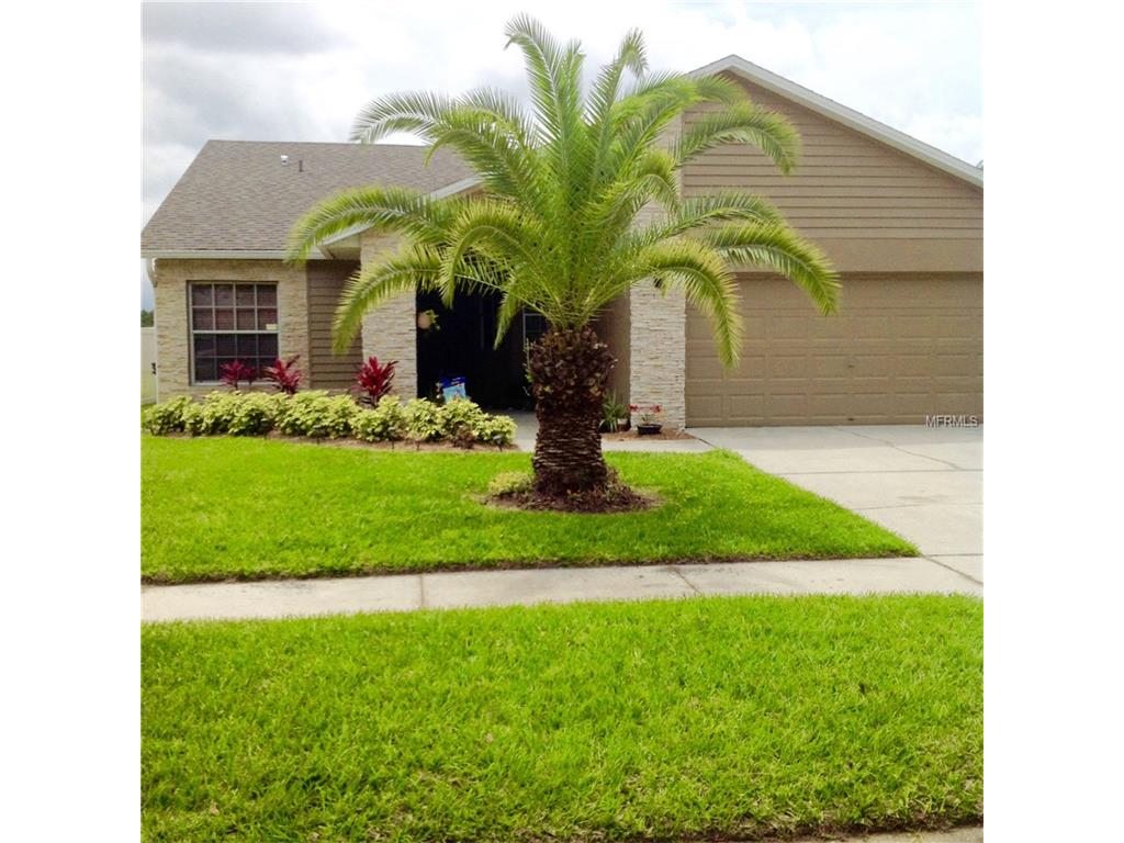 13418 Silvercreek Dr, Riverview, FL 33579 photo 1