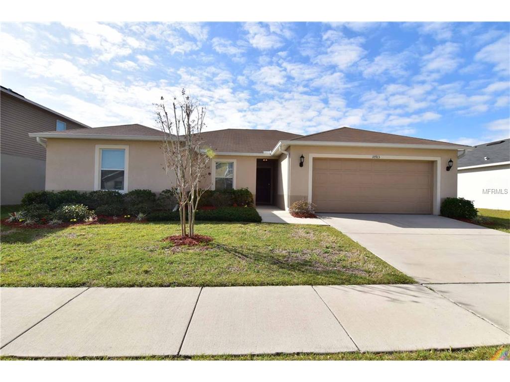 10913 Pond Pine Dr, Riverview, FL 33569 photo 1