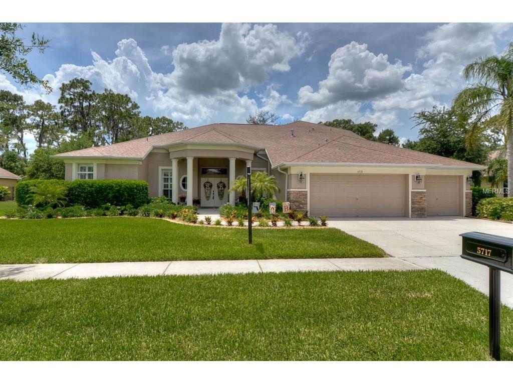 5717 Tanagerside Rd, Lithia, FL 33547 photo 1