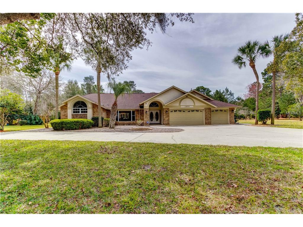 13074 Coronado Dr, Spring Hill, FL 34609 photo 1