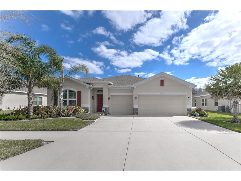 12420 Belcroft Dr, Riverview, FL 33579 photo 1