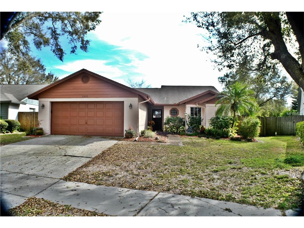 11825 Cedarfield Dr, Riverview, FL 33579 photo 1