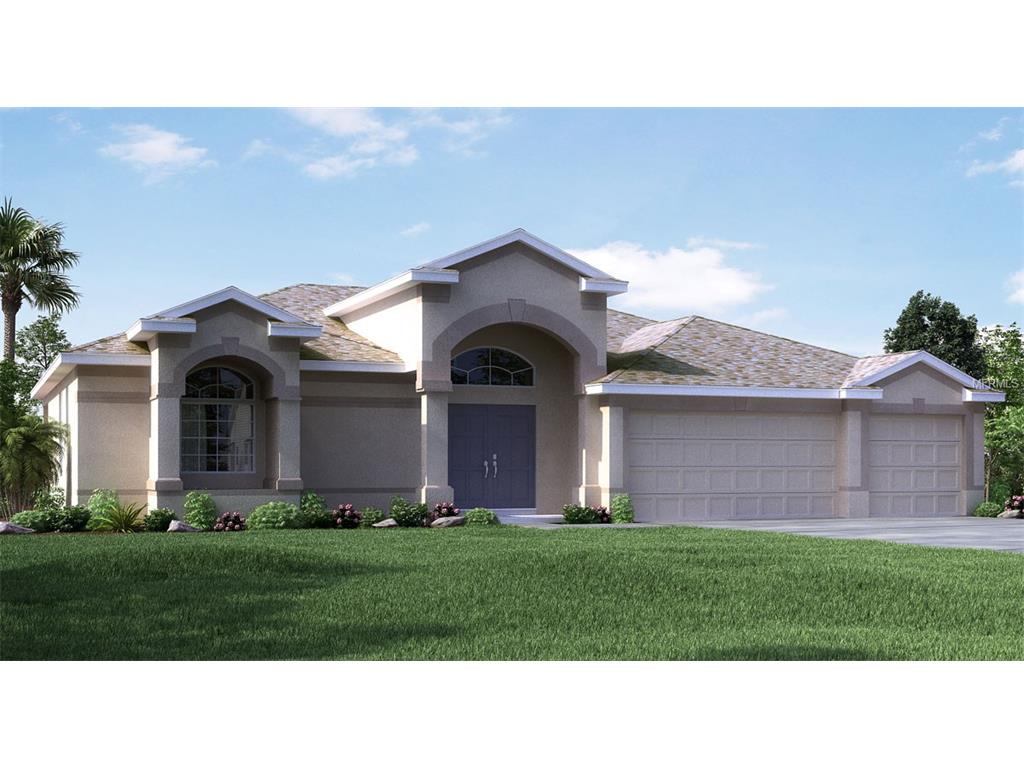 5010 Jagged Cloud Dr, Wimauma, FL 33598 photo 1