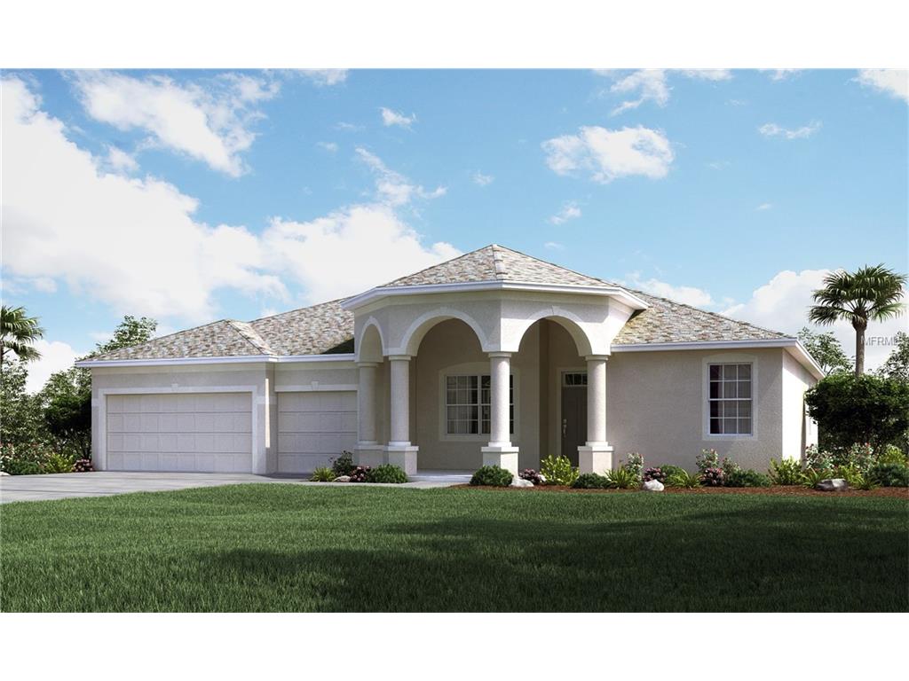 5006 Jagged Cloud Dr, Wimauma, FL 33598 photo 1