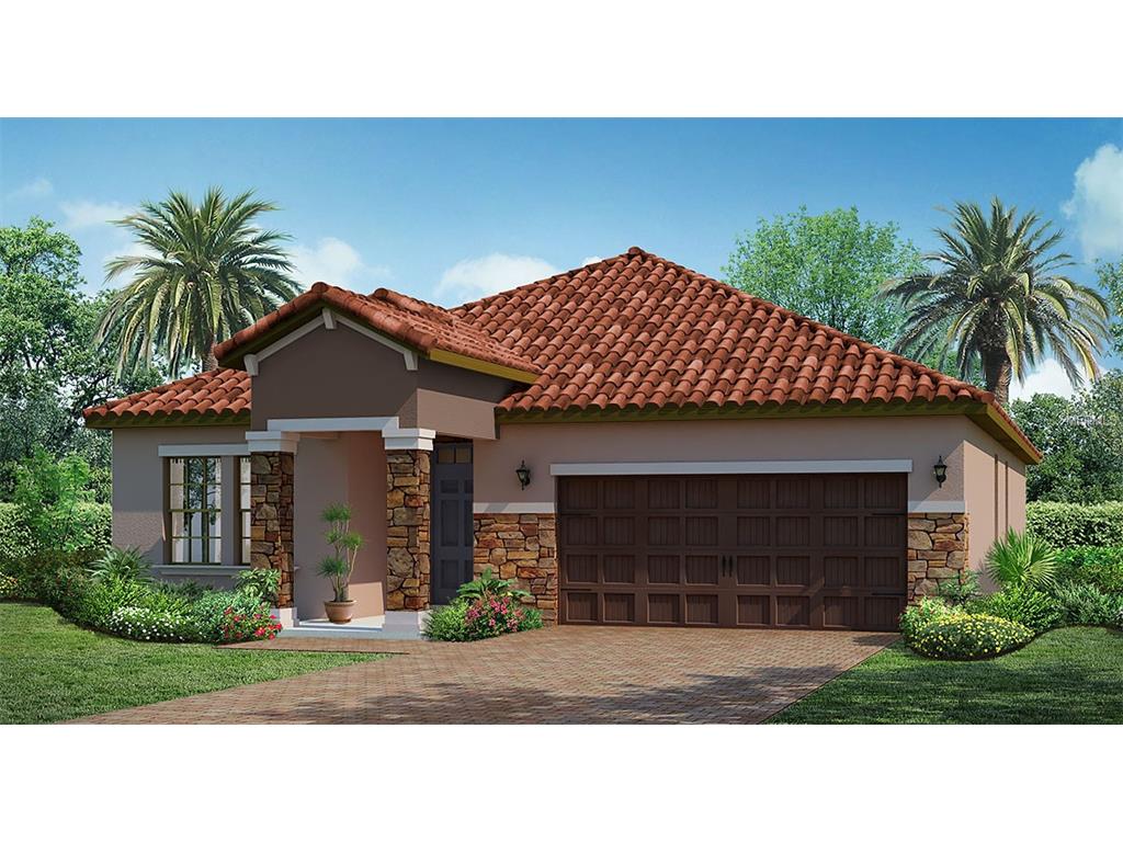 11934 Frost Aster Dr, Riverview, FL 33579 photo 1
