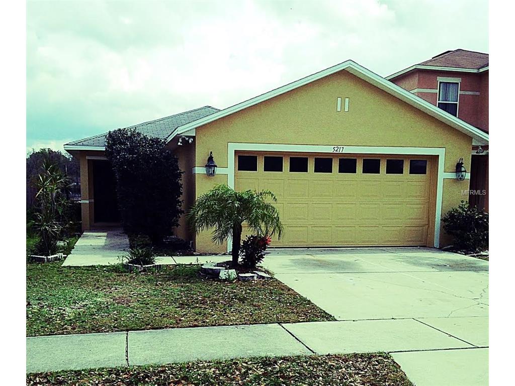 5217 Mango Fruit St, Seffner, FL 33584 photo 1