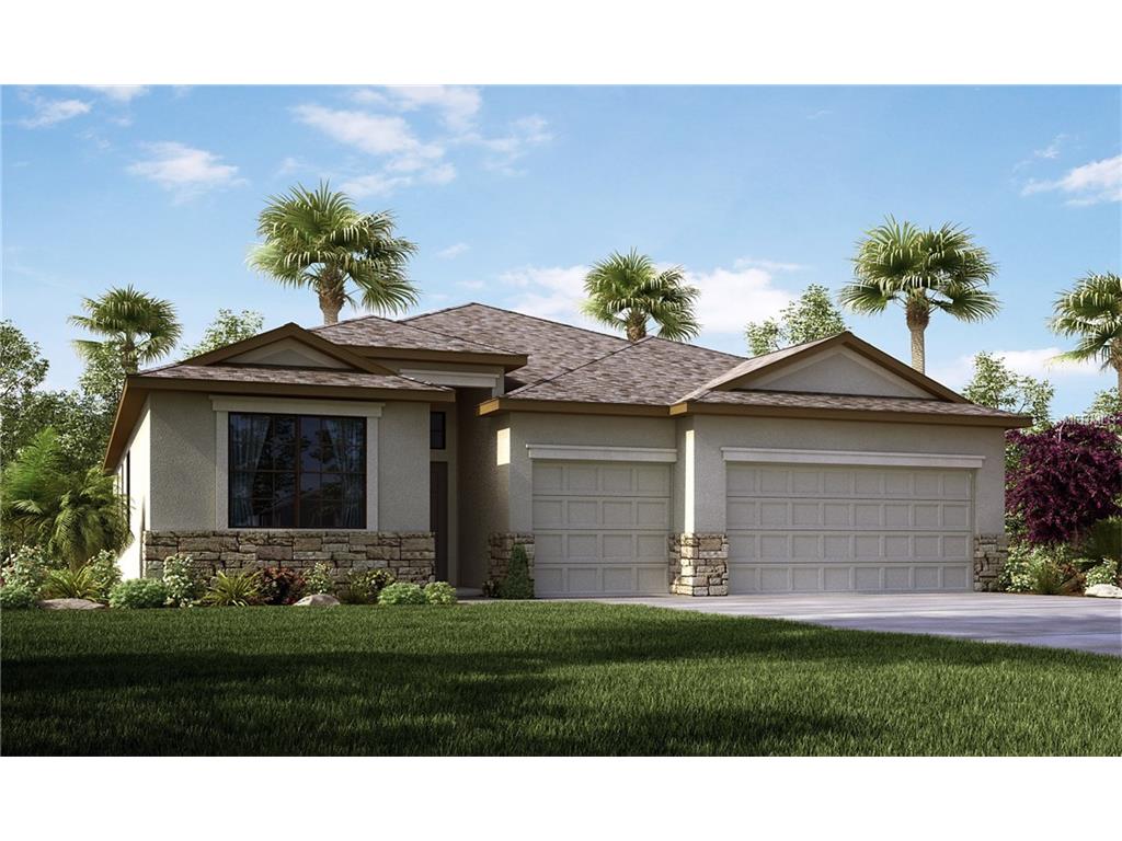 13912 Felix Will Rd, Riverview, FL 33579 photo 1