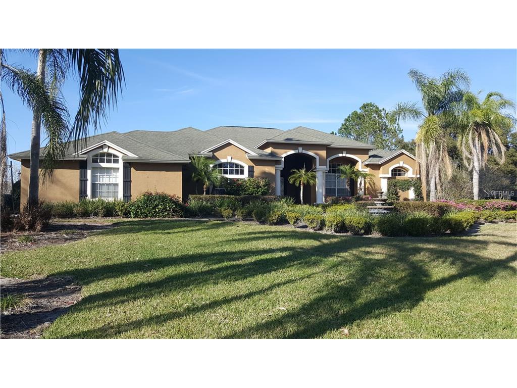 17817 Simms Rd, Odessa, FL 33556 photo 1