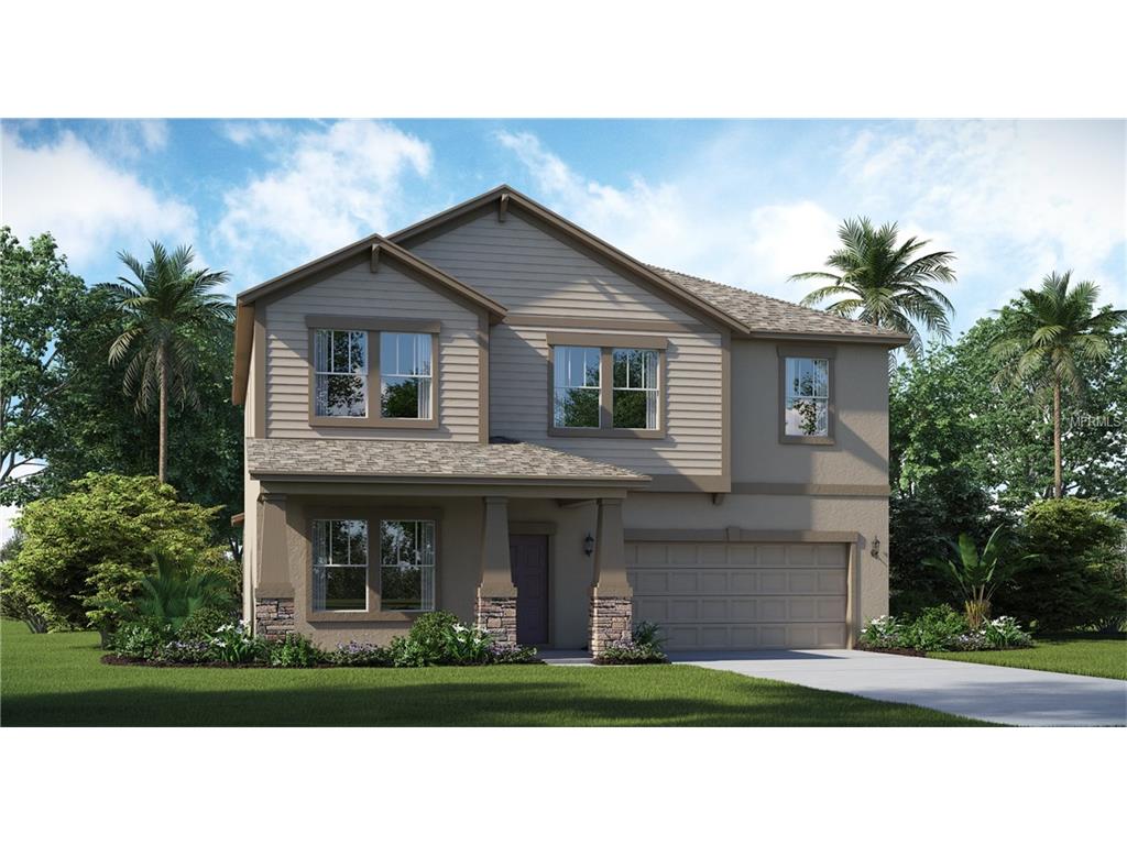 12319 Ballentrae Forest Dr, Riverview, FL 33579 photo 1