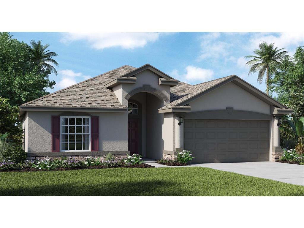 11620 Branch Cay Cir, Riverview, FL 33569 photo 1