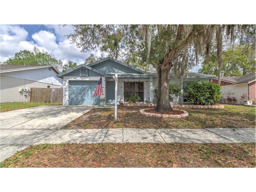 728 Stillview Cir, Brandon, FL 33510 photo 1
