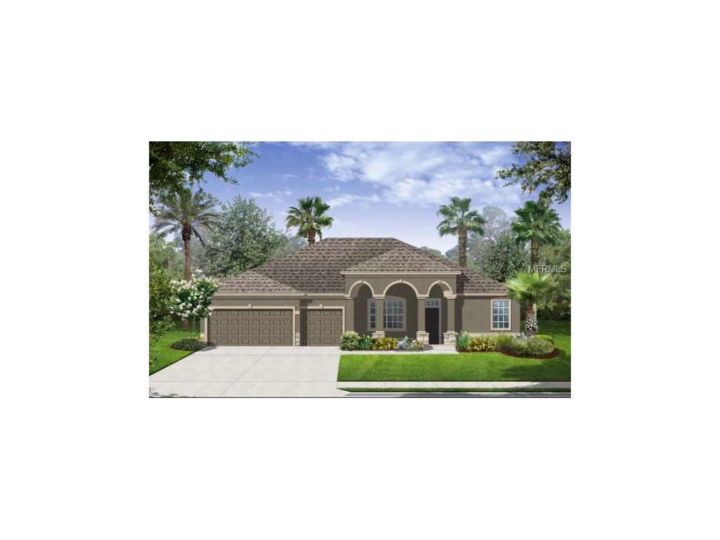 5012 Jagged Cloud Dr, Wimauma, FL 33598 photo 1