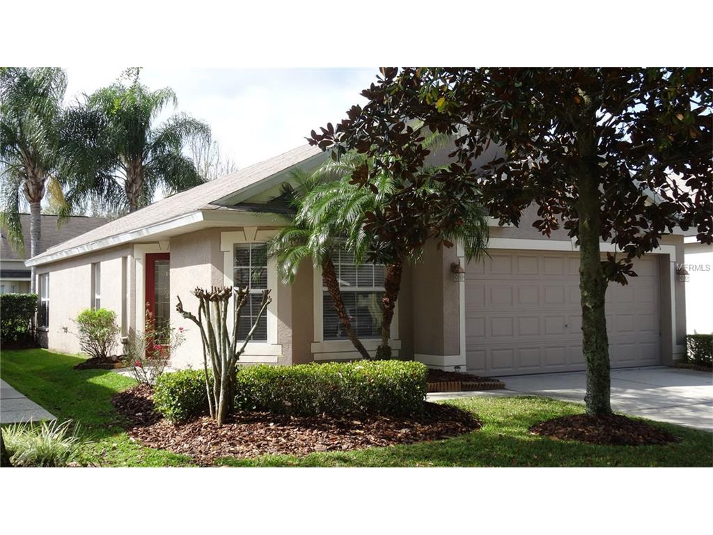 6177 Skylarkcrest Dr, Lithia, FL 33547 photo 1