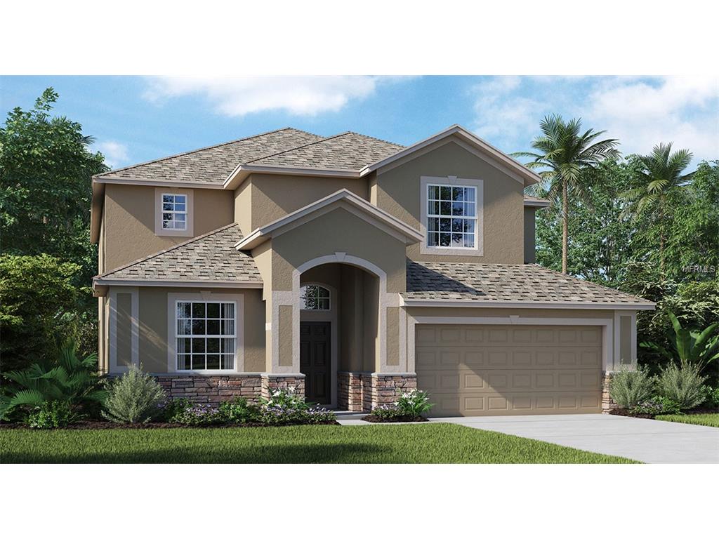 11014 Whittney Chase Dr, Riverview, FL 33579 photo 1