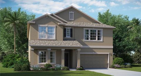 11708 Thicket Wood Dr, Riverview, FL 33579 photo 1