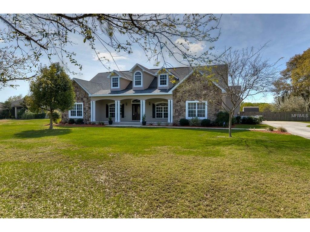 10501 Lithia Estates Dr, Lithia, FL 33547 photo 1