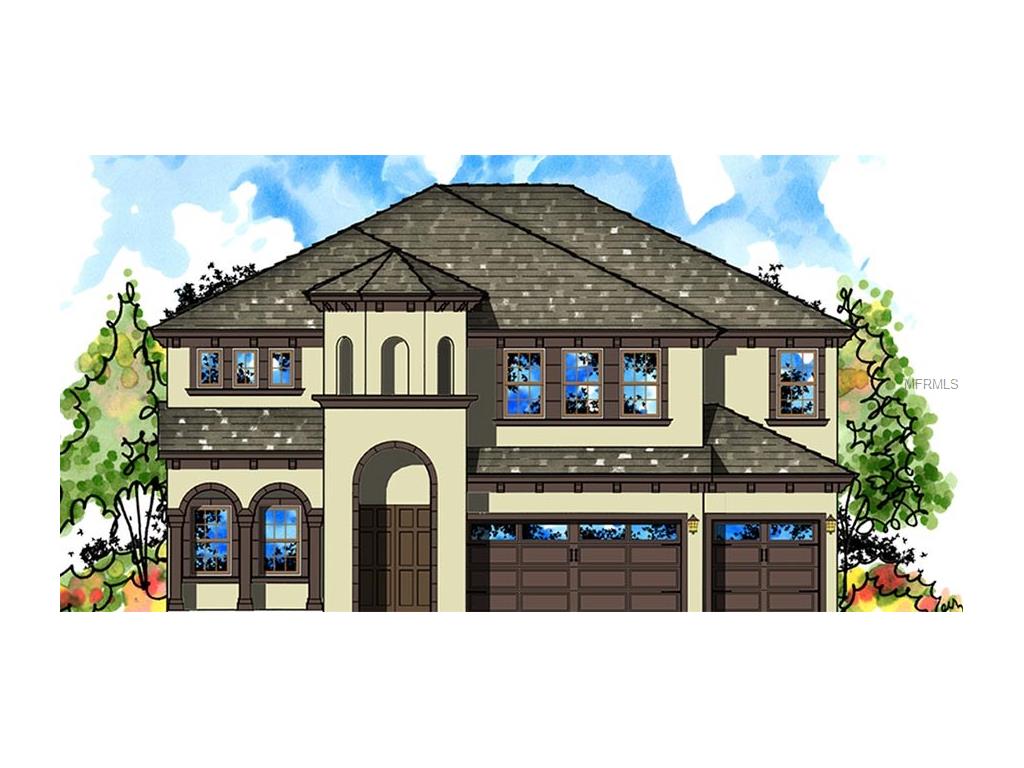 13839 Moonstone Canyon Dr, Riverview, FL 33579 photo 1
