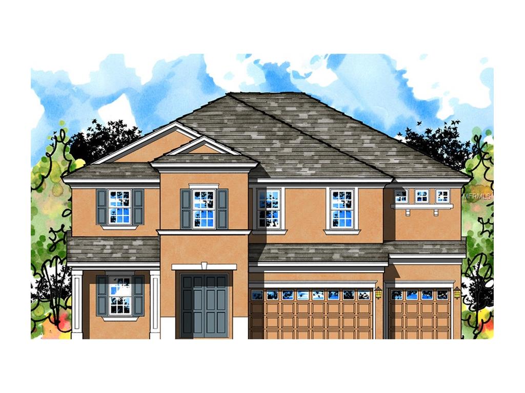 14310 Blue Hydrangea Ct, Lithia, FL 33547 photo 1